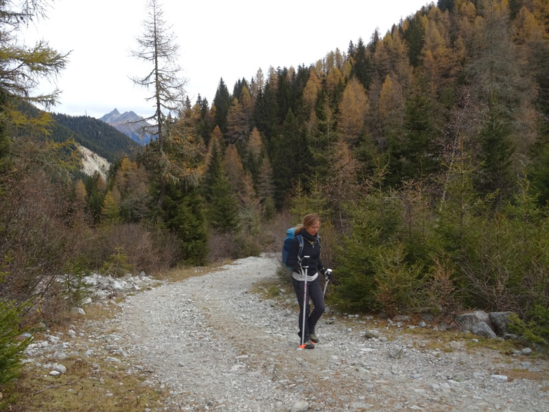 escursione ai Laghi di San Pancrazio e Anterano (BZ)